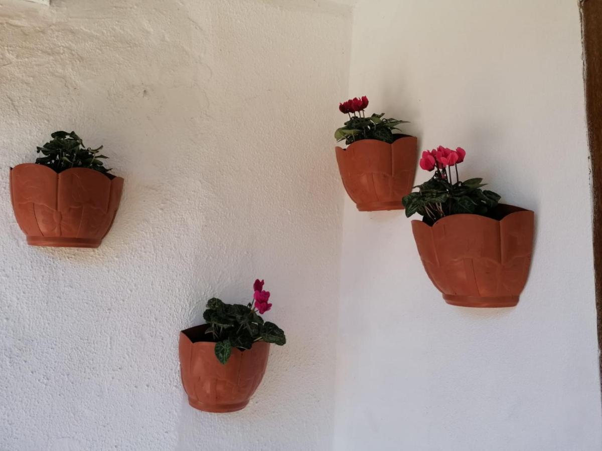 ミエレス Casa Rosarioヴィラ エクステリア 写真